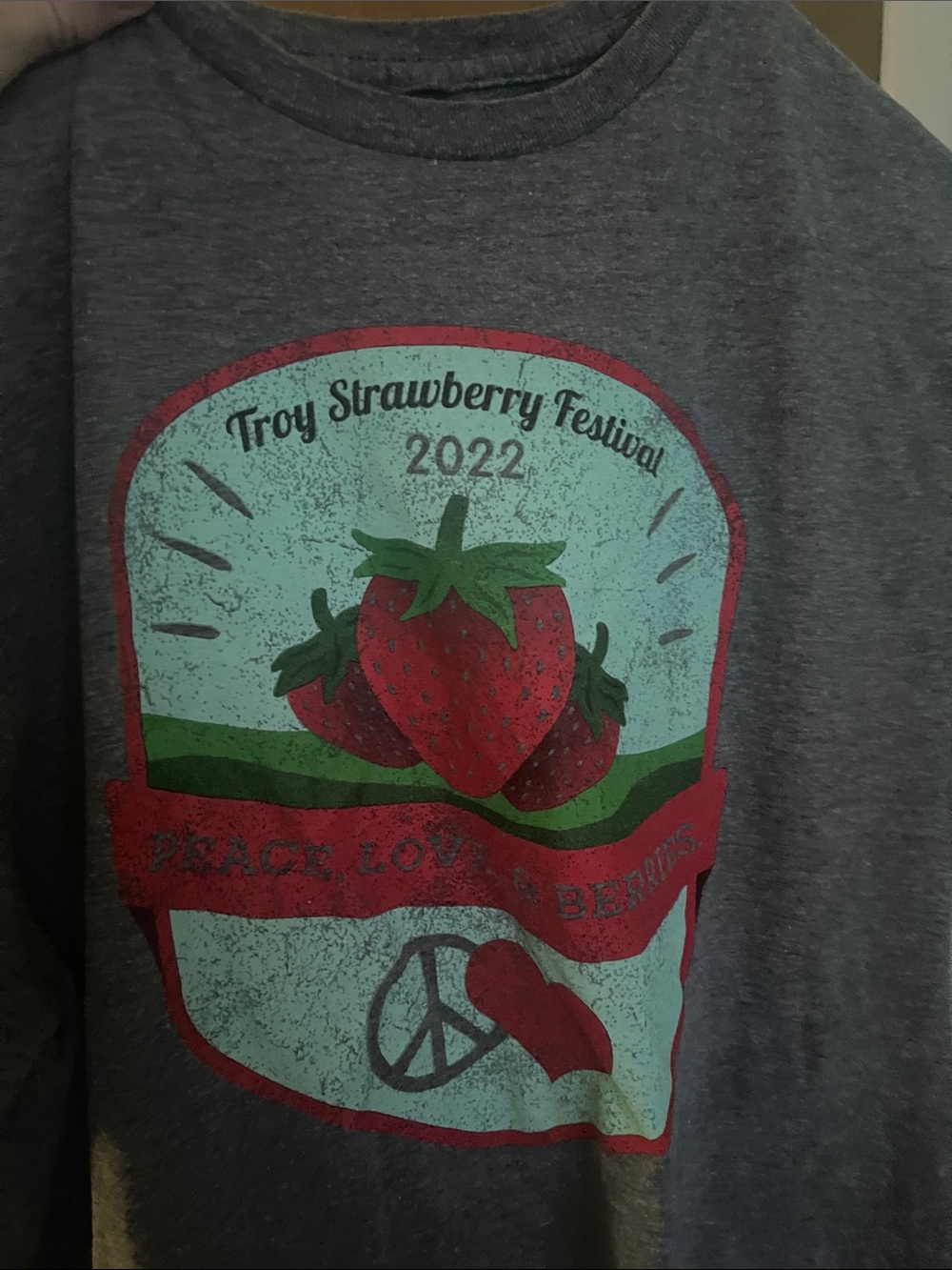 Troy Strawberry Festival - OHIO 2022 Graphic Tee - Gray with Red & Green
